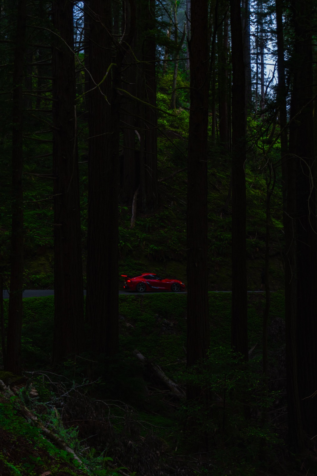 Automotive shot 32